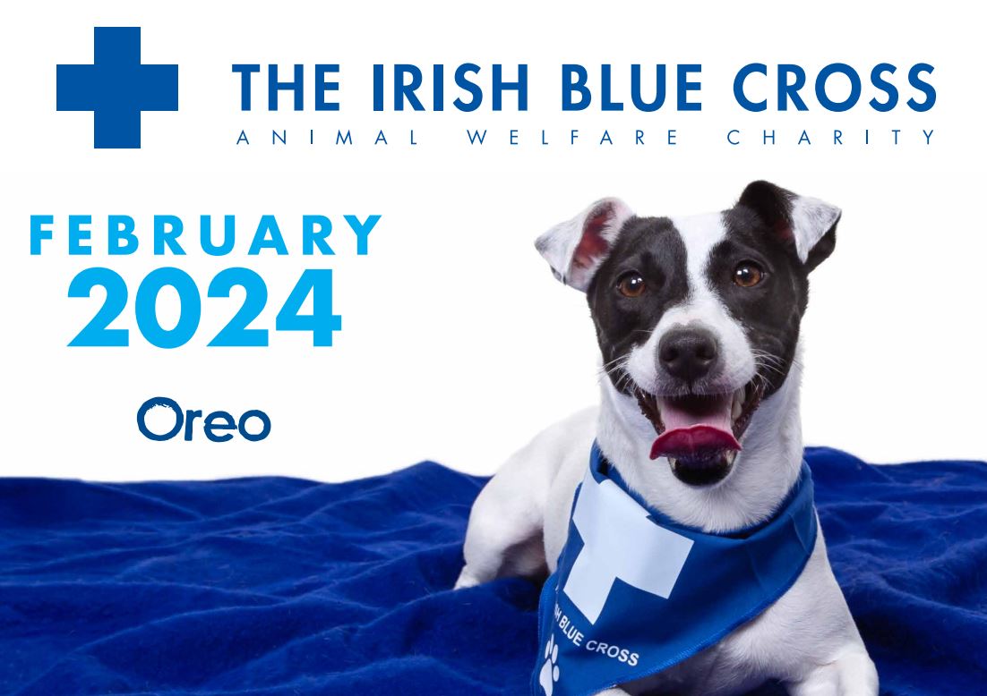 The 2024 Irish Blue Cross Calendar The Irish Blue Cross