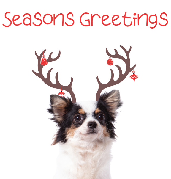 The Irish Blue Cross Christmas Cards 2025 - Image 2