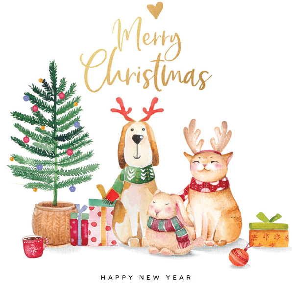 The Irish Blue Cross Christmas Cards 2025 - Image 5