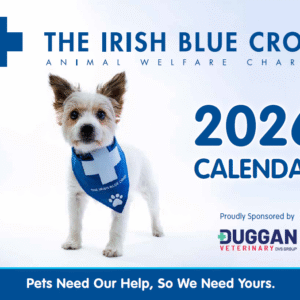 The Irish Blue Cross 2026 Calendar